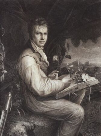 preview Bildnis Alexander von Humboldt